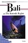 Diving and Snorkeling Guide to Bali and the Komodo Region (Pisces Diving & Snorkeling Guides)