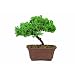 Random Gifts of Awesomeness for People Who Have Everything