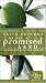Faith Lessons on the Promised Land (Home VHS Vol. 1) Home Pack/Bible Study Guides: Crossroads of the World [VHS]