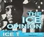 The Ice Opinion