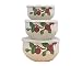 Franciscan Apple 6-Piece Enamel-on-Steel Bowl Set, Large
