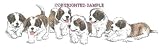 Saint Bernard - Puppies in a Row by Cindy Farmer