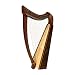 Musical Instruments : Heather Harp, (Vine design) Case & Learn to Play Book