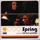The Last Goodbye by Spring