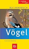 BLV Handbuch Voegel: Der zuverlaessige Naturfuehrer