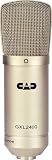GXL2400 Large Diaphragm Condenser Microphone