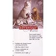 Advantage Flea Control for Dogs 21-55 lbs