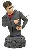 Harry Potter: Order of the Phoenix Year 5 Harry Bust