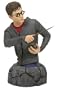 Harry Potter: Order of the Phoenix Year 5 Harry Bust