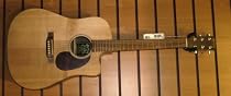Martin DCX1RE