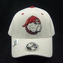 Georgia Bulldogs Adult One-Fit Hat