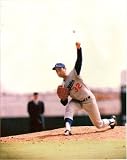Sandy Koufax Pitching Los Angeles Dodgers 8x10 Photo