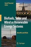 Biofuels, Solar and Wind as Renewable Energy Systems: Benefits and Risks