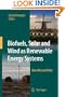Biofuels, Solar and Wind as Renewable Energy Systems: Benefits and Risks