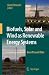 Biofuels, Solar and Wind as Renewable Energy Systems: Benefits and Risks