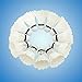 TZ International 12x Training White Goose Feather Shuttlecocks Birdies Badminton Ball Game Sport Training Game Fans Practicing (1 set)