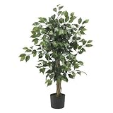 411FiyjSpoL. SL160  Bonsai Tree Gift Set: Water Free & Care Free! Great Gift Idea! Reviews
