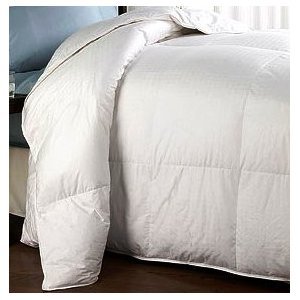 ALLERGY FREE Down Alternative Comforter - Duvet Cover Insert - White - TWIN  TWIN XL Size - by Treasures2B005YJN9OQ