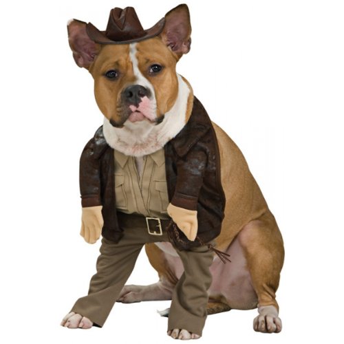 Indiana Medium Jones Pet Costume