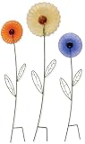 Sunset Vista Designs