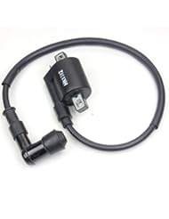 Automotive Parts and Accessories: Wings Ignition Coil 150cc 200cc 250cc Dirt Bike ATV Quad 4 Wheeler Roketa Lifan Loncin - Wingsmoto