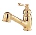 Danze D457014PBV Opulence Single-Handle Kitchen Faucet with Pull-Out Spout, Polished Brass