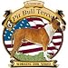 Pit Bull Terrier Adult Sweatshirt