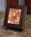 Morning Song Birds Color Lithophane Shadow Box Wood