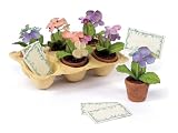 New - Pack of 24 Whisper Lilac Silk Hydrangea Card or Photo Holders in Mini Pots 4