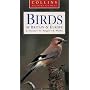 Birds of Britain & Europe (Collins Nature Guide)