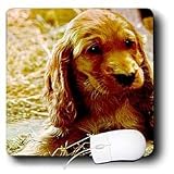 Dogs Irish Setter - Irish Setter Puppy - Mouse Pads
