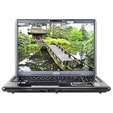 Toshiba Satellite P305-S8910 Core 2 Duo P7450 2.13GHz 4GB 400GB DVD±RW DL 17″ Vista Home Premium w/Webcam & FM Tuner