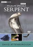 Wildlife Specials: Serpent [DVD]