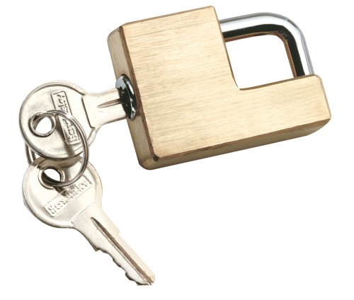 Reese Towpower 72784 Brass Coupler Lock