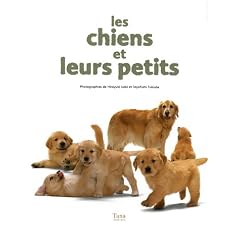 Les chiens et leurs petits