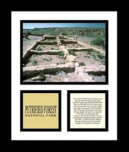 Petrified Forest National Park Photos Parks