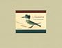 Audubon: Early Drawings