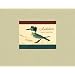 Audubon: Early Drawings