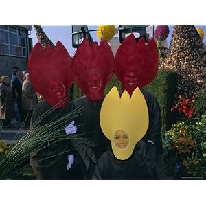Flower Train Parade, Noordwijk, Holland (The Netherlands), Europe Photographic Poster Print