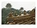 Decorative Cornice Sculpture on the Gabled Roof of a Building in Beihai Park, Beijing, China Photographic Poster Print by James L. Stanfield, 16x12