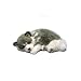 Toys : Perfect Petzzz Alaskan Huskey