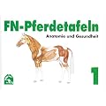 FN-Pferdetafeln. Mappe 1: Enth�lt Tafel 1 - 13: F�r Pferde giftige Pflanzen. Z�umungen. Farben und Abzeichen. Sitz des Reiters. Exterieur. Vorder-/ ... Atmungsorgane. Lage erkennbarer Ver�nderungen