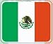 Deluxe Polar Fleece Throw Stadium Blanket - 50 x 60 - Mexico Flag