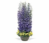 Teleflora