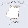 Image of album by Smog