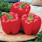 Pepper Seeds - Pepper Karma Hybrid
