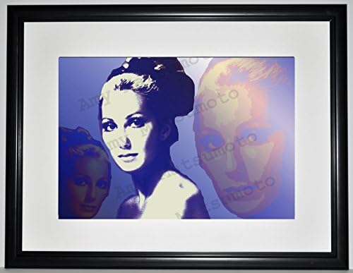 Cher 19x25 Custom Framed Limited Edition Print by Amy Matsumoto