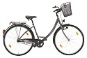 Texo Fahrrad 26 (559 mm) City Damen 3-Gang Rücktrittbremsnabe mit Korb, bronx, 44 cm