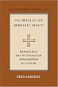 The Image Of The Immanent Trinity: Rahner's Rule And The Theological Interpretation Of Scripture (Issues in Systematic Theology)
