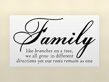Family Like Branches On A Tree vinyl lettering wall sayings home art decor